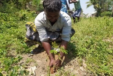 Rural Development