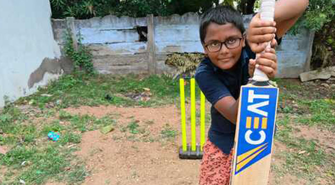Street Cricket to Professional Cricket: The Journey of Skill Development