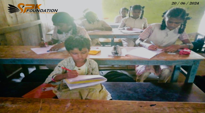 The Journey of SPK Foundation: From Inception to Impact